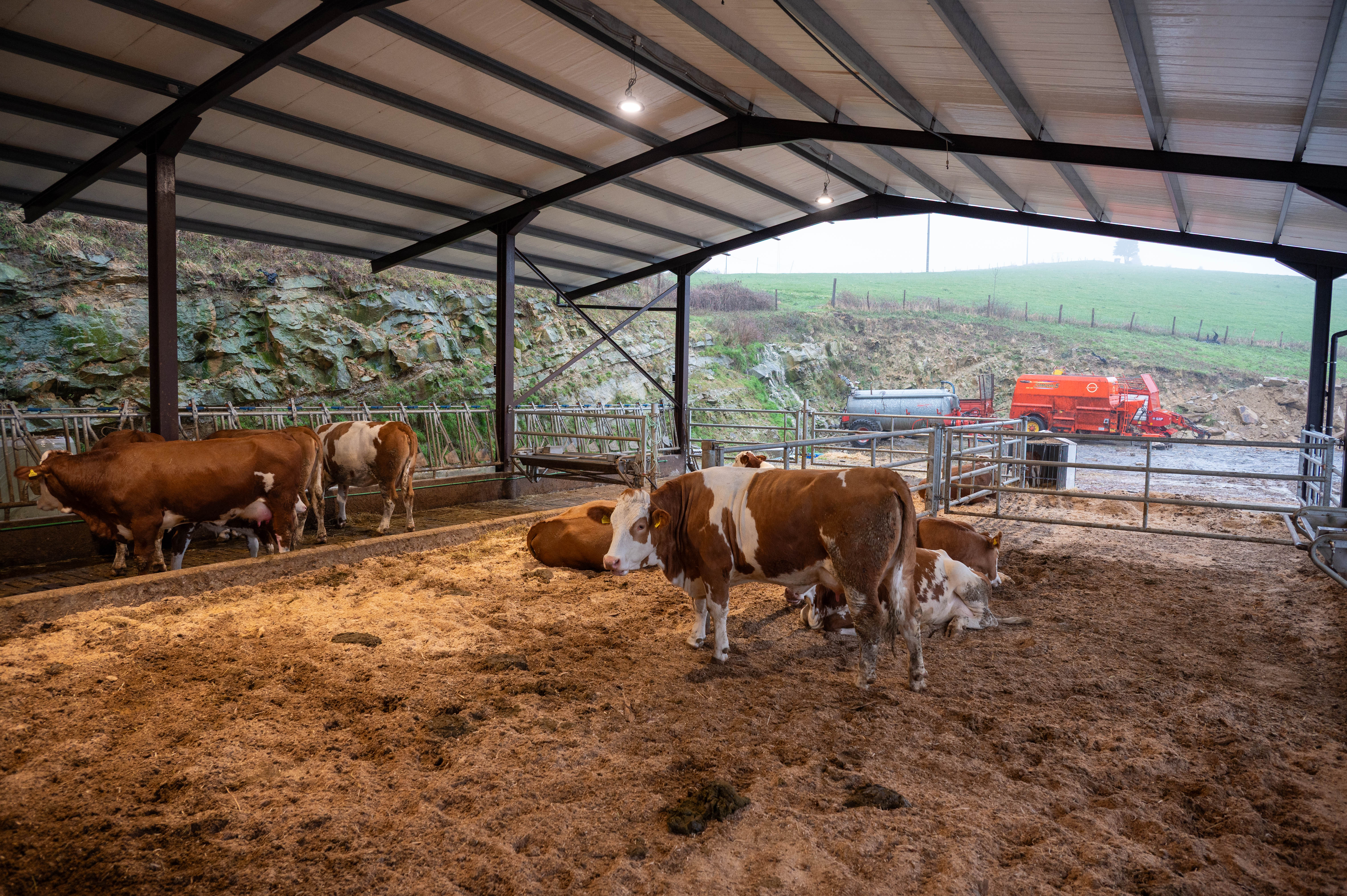 Establo de Muniota Baserria